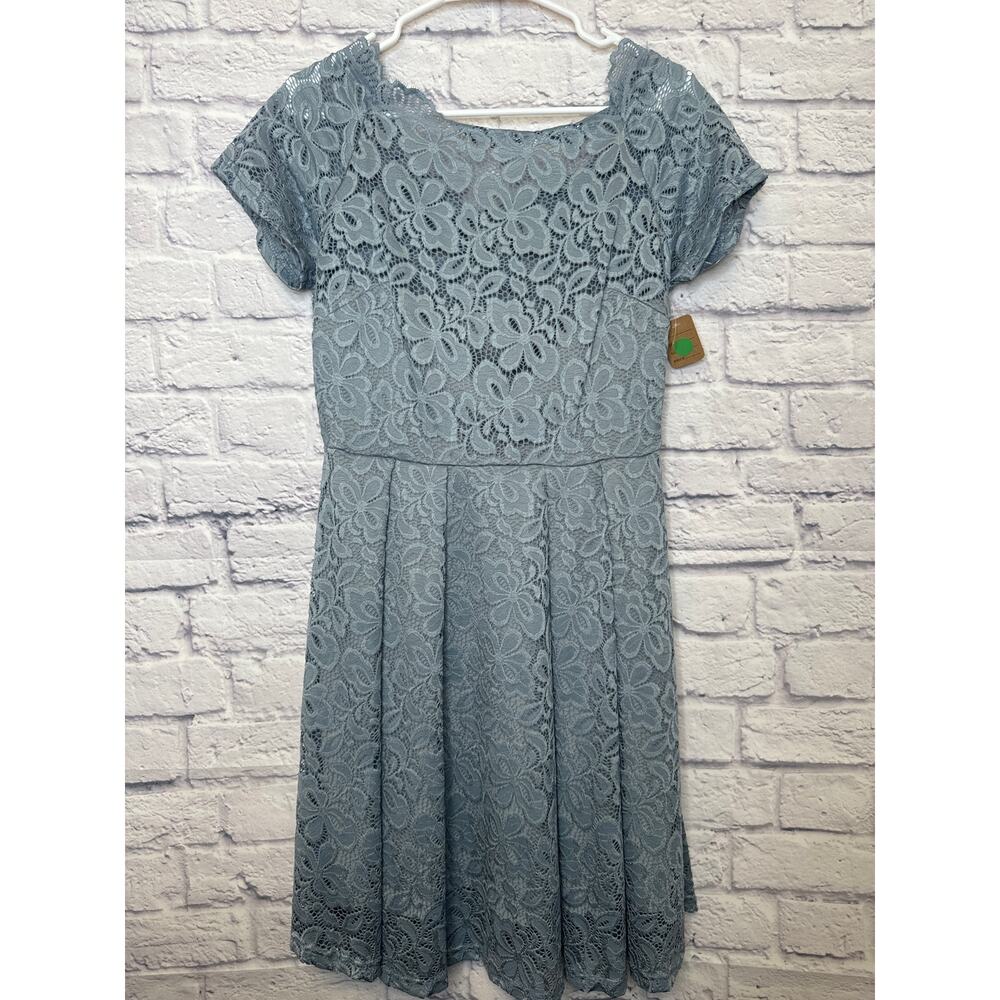 MISSMNY Retro Gorgeous City Blue Lace Dress Short Sleeve Fit & Flare LARGE NWT